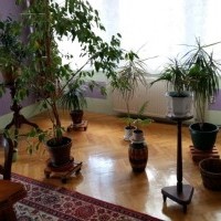 Willa pigūs apgyvendinimo šalia Gdansko, poilsis Lenkijoje